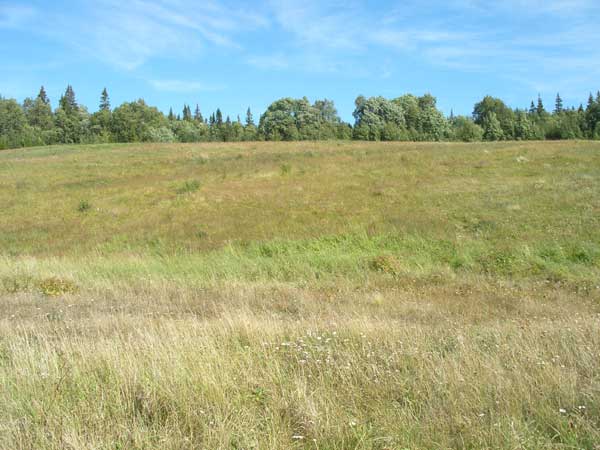 Богородичный луг - место явления Богородицы преп.Елеазару Богородичный луг - место явления Богородицы преп.Елеазару