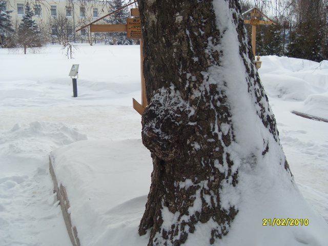 Дивеево