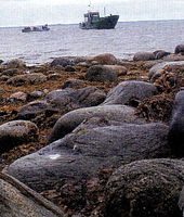 Соловецкий монастырь Соловецкий монастырь