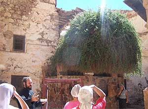 Синай. Неопалимая Купина везде на фото показала столб света Синай. Неопалимая Купина везде на фото показала столб света