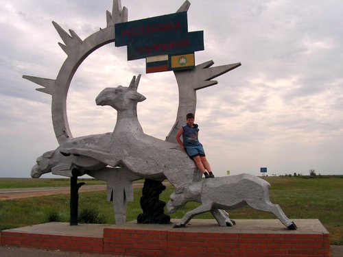Стелла с сайгаками