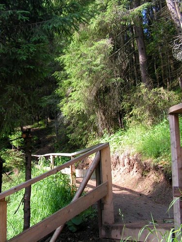 Тропинка идет через лес Тропинка идет через лес