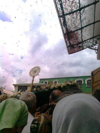 Парящие лепестки роз у Архиепископа Луки